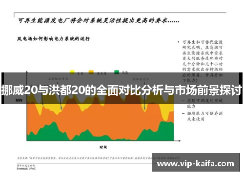挪威20与洪都20的全面对比分析与市场前景探讨